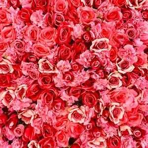 Meet your Posher, Vianey